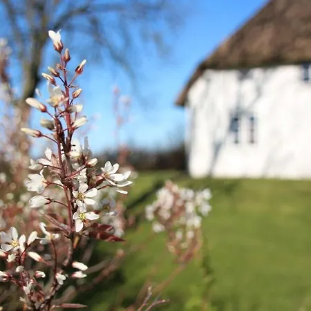 Poppenbuell Thatched House Holiday home *